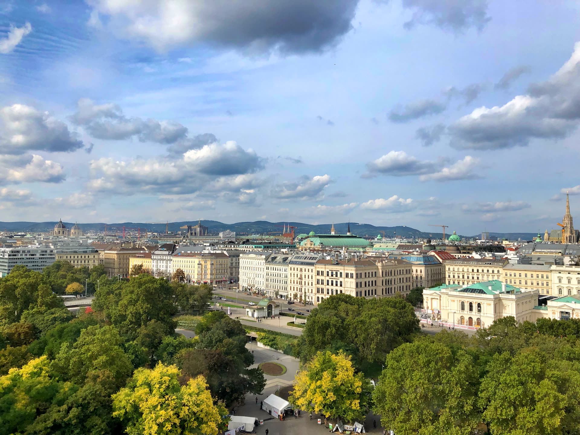 A Vienna inner-district street, lined with mature plane trees and Wilhelminian apartment blocks, on a quiet weekday morning.